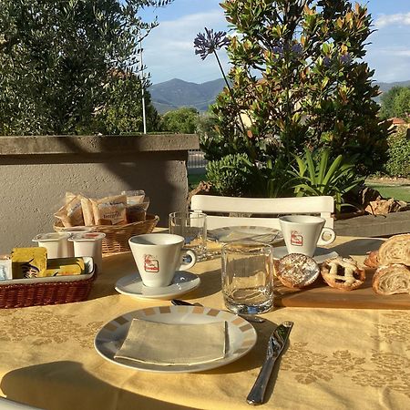 Villa Orsini - A Retreat In Pisa - Food And Relax المظهر الخارجي الصورة